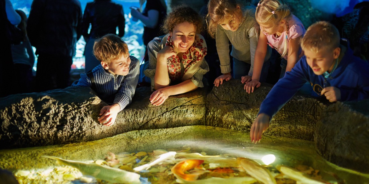 Omaha’s Henry Doorly Zoo and Aquarium Manages Occupancy and Improves the Visitor Experience with Skyfii Technology